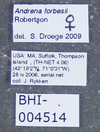 Media type: image;   Entomology 609511 Aspect: labels